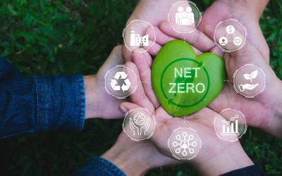 Net Zero: o que é e quais são os desafios?