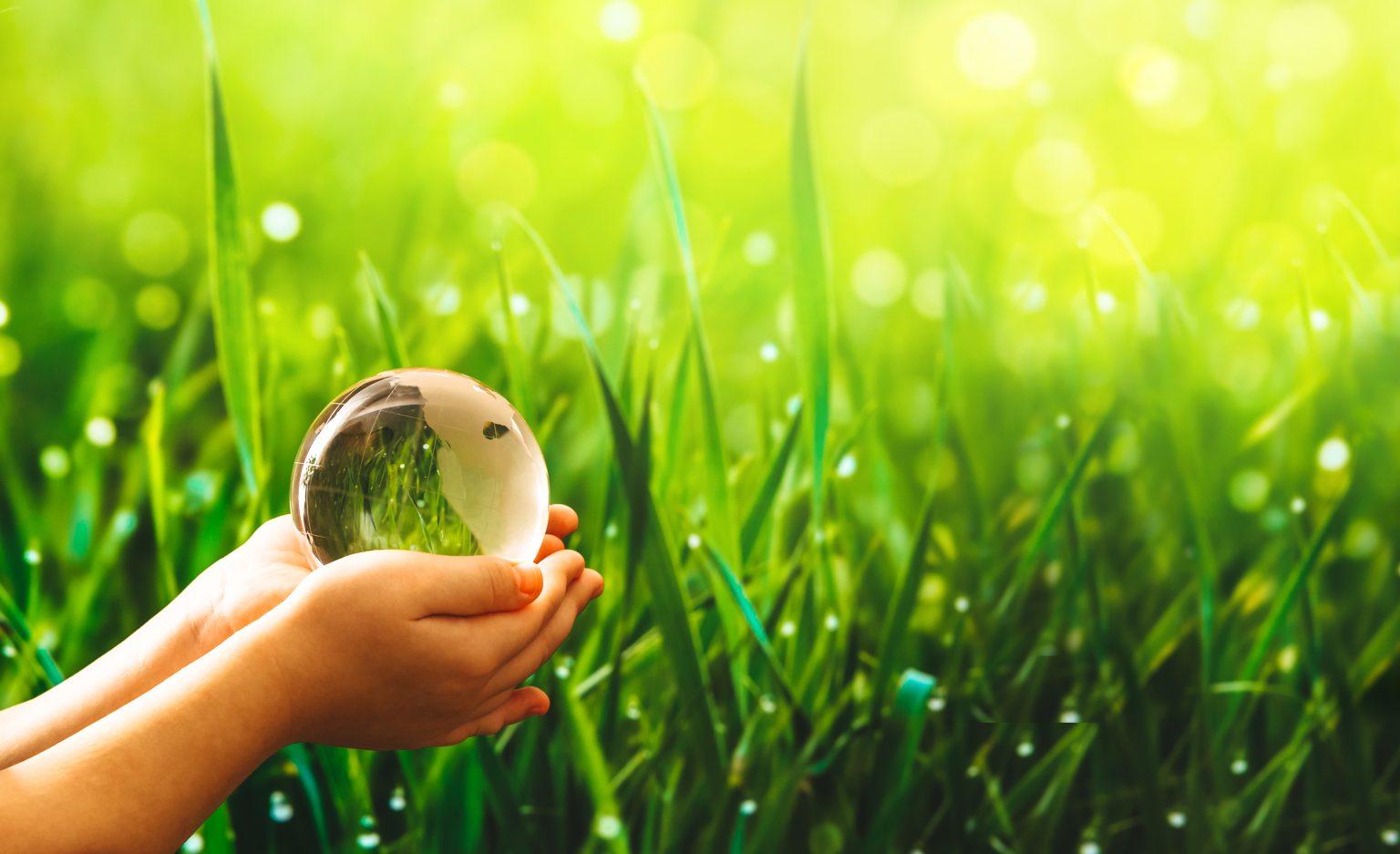 Grupo EP epharma Pessoa com as mãos juntas e grama no fundo