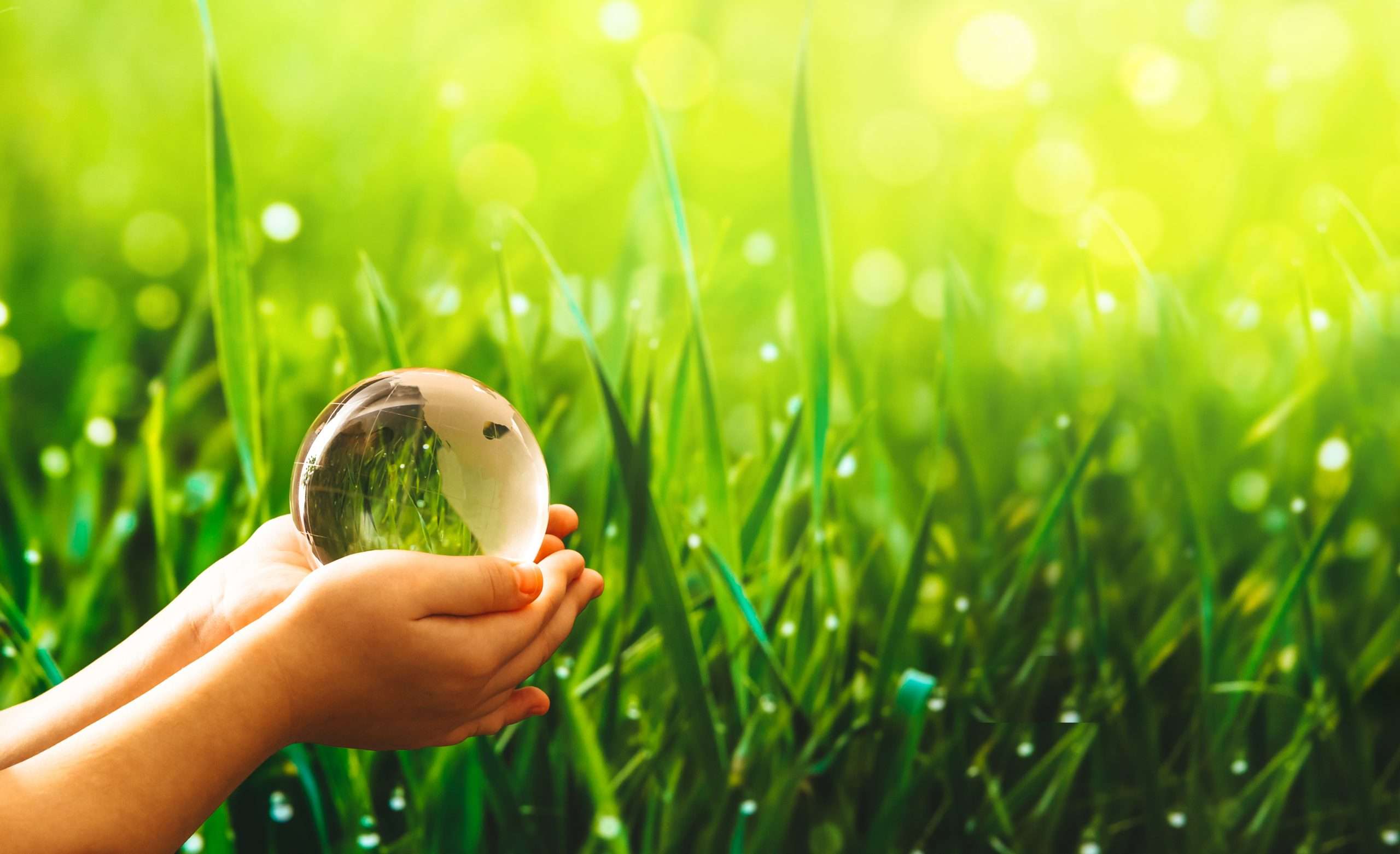 Grupo EP epharma Pessoa com as mãos juntas e grama no fundo